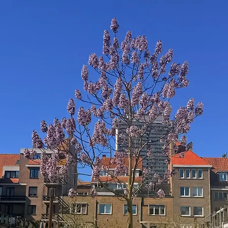 Logies Zen Aan Zee Frühstückspension