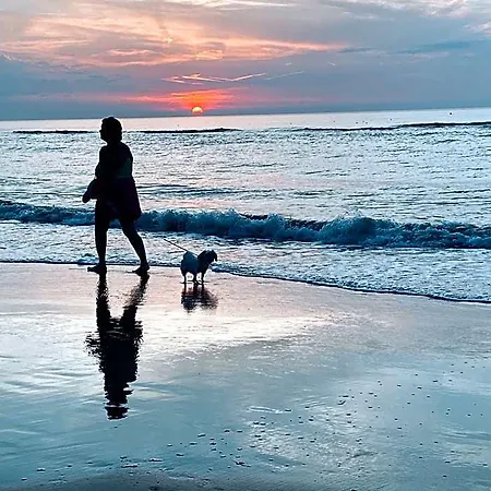 Logies Zen Aan Zee Οστένδη