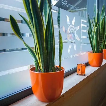 Logies Zen Aan Zee 4* Ostende