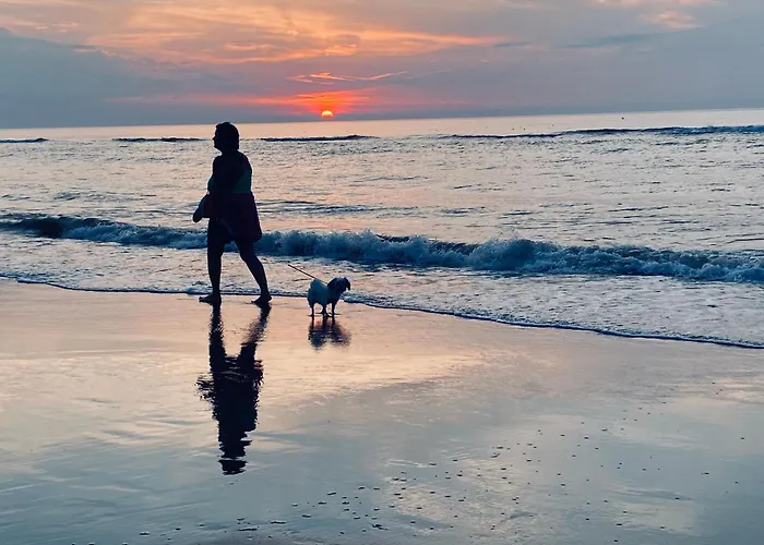 Logies Zen Aan Zee 4* Ostende