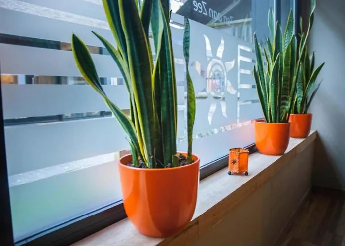 Couette-café Logies Zen Aan Zee 4*