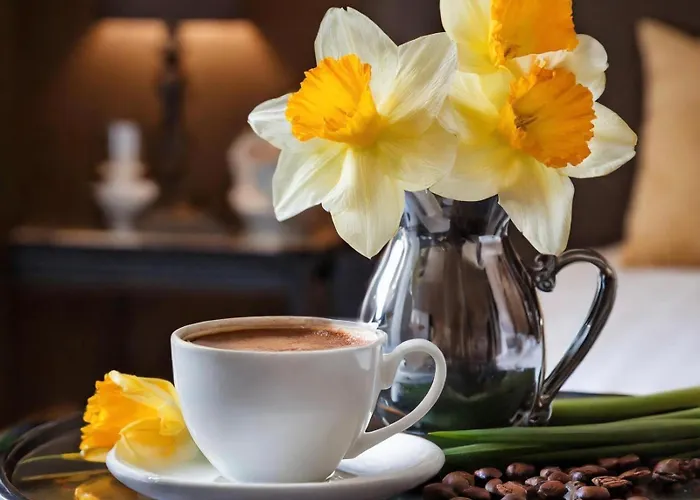 Oda ve Kahvaltı Logies Zen Aan Zee Oostende