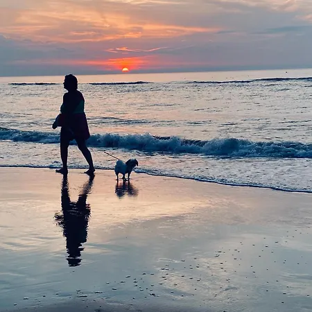 Logies Zen Aan Zee 4* אוסטנדה